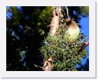 lavabed_bird * 800 x 634 * (78KB)